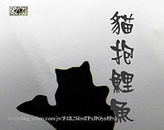 貓抱鯉魚