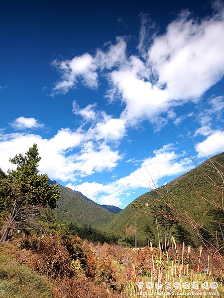 藍天白雲綠樹