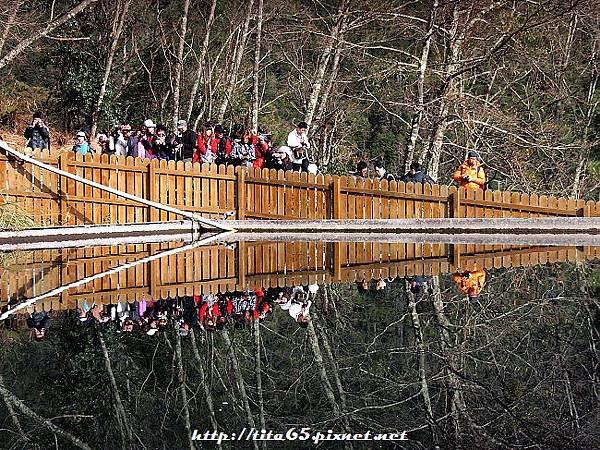 武陵農場天池