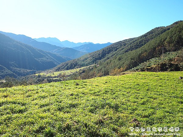 合歡山登山口