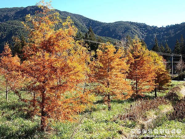 合歡山登山口