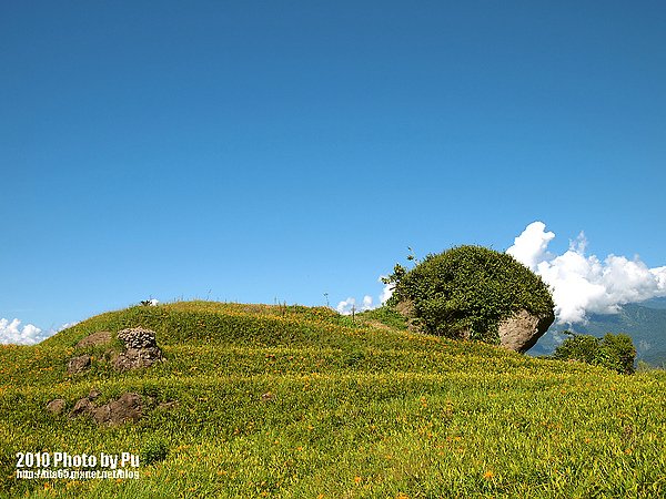 藍天~白雲~我的金針山