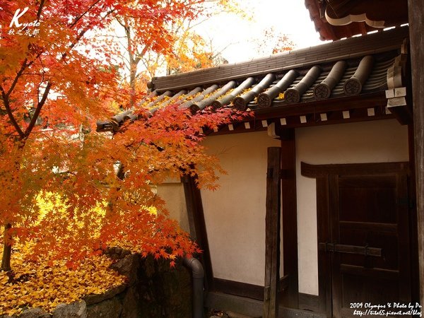 有味道的小屋