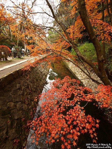 秋遊哲學大道