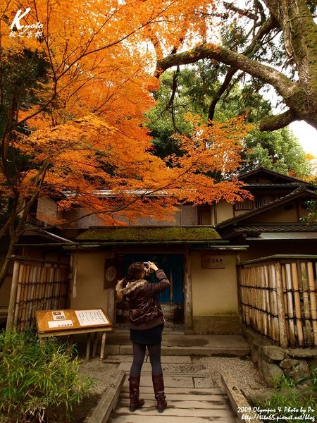 秋遊哲學大道