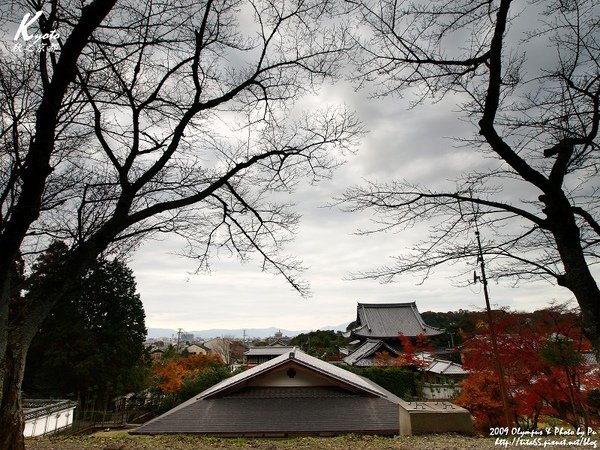 秋遊哲學大道