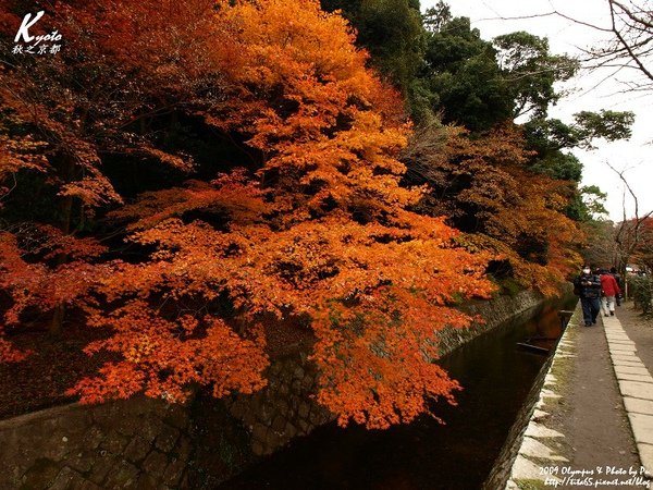 秋遊哲學大道