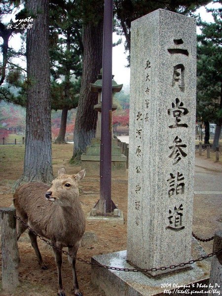 東大寺