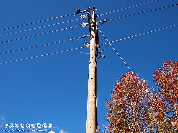 台灣電力