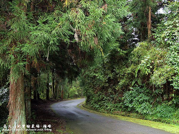 森林步道