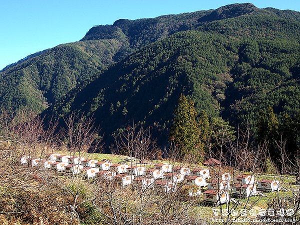 合歡山登山口