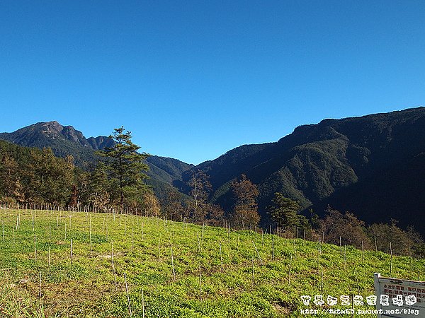 合歡山登山口