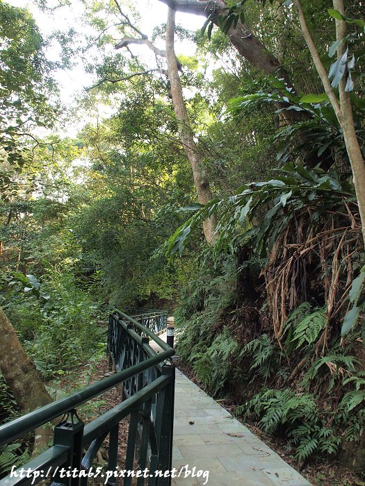 和美山步道