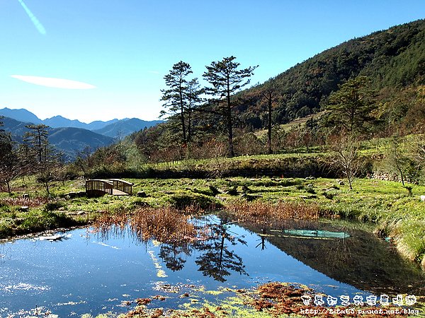 合歡山登山口