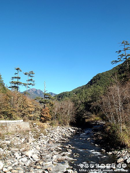 七家灣溪~桃山~