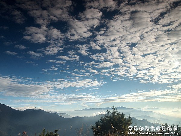 武嶺雲海