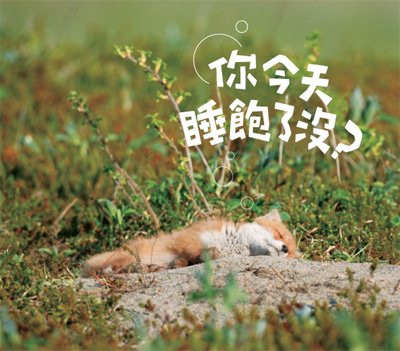 你今天睡飽了沒.jpg