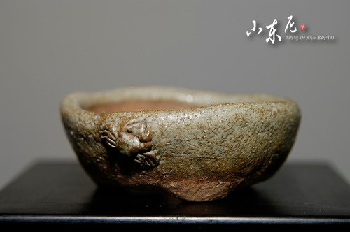 DSC_9179.JPG