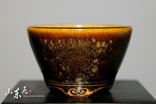 DSC_6604.JPG