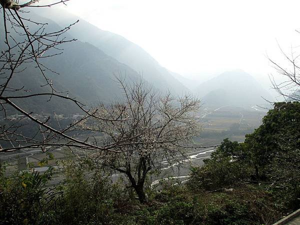 IMG_0699(001).jpg