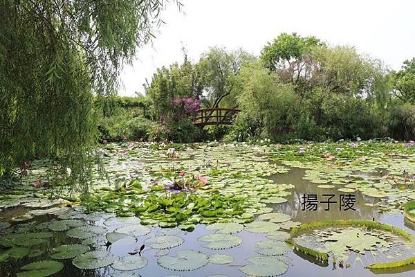 IMG_4918.JPG