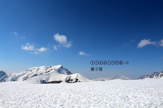 IMG_9446.JPG
