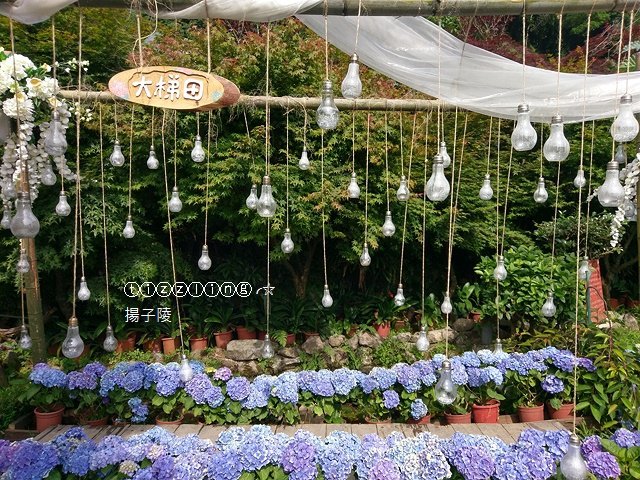 IMAG0660.jpg