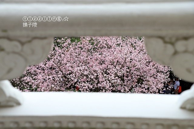 IMG_5671.JPG