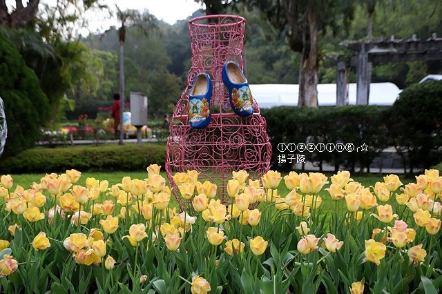 IMG_0063.JPG