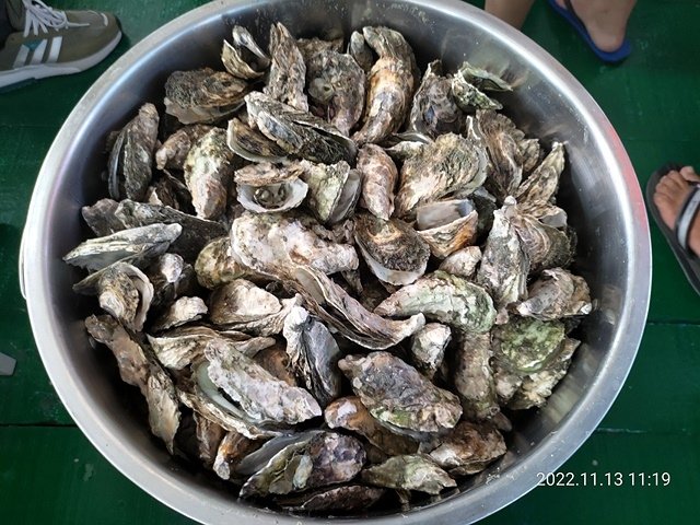 P_20221113_111911.jpg