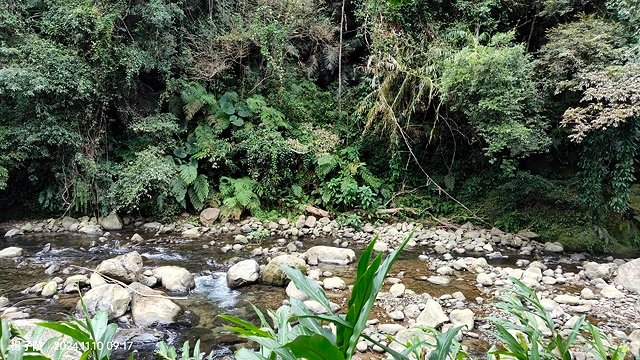 2024苗栗蓬萊溪護魚步道，天涼好個秋踏青趣👣｜南庄老街➯桂