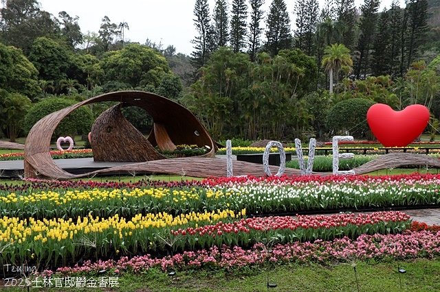 2025士林官邸鬱金香展🌷｜愛的遇藝｜台北花季花IN台北，活