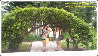 DSC00140.JPG