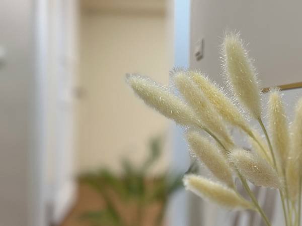 LINE_ALBUM_大遠百兩房_230822_4.jpg
