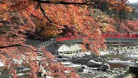 11/27紅葉狩り