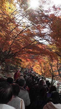 11/27紅葉狩り