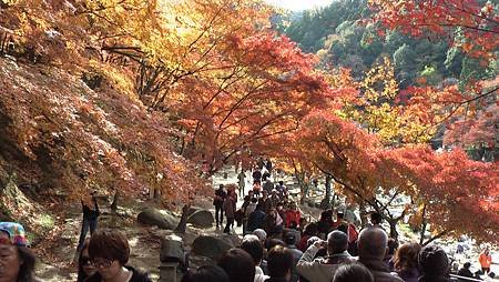 11/27紅葉狩り