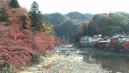 11/27紅葉狩り