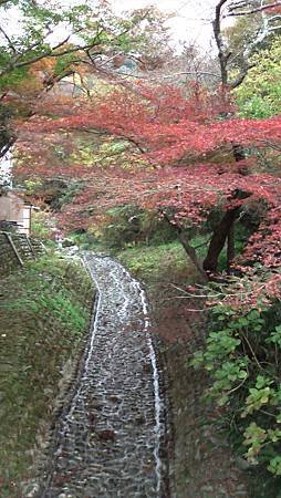 11/27紅葉狩り