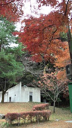 11/27紅葉狩り