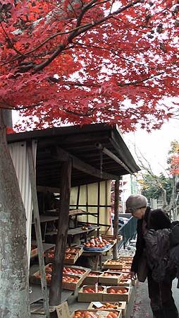 11/27紅葉狩り