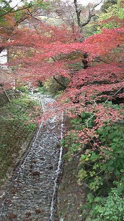 11/27紅葉狩り