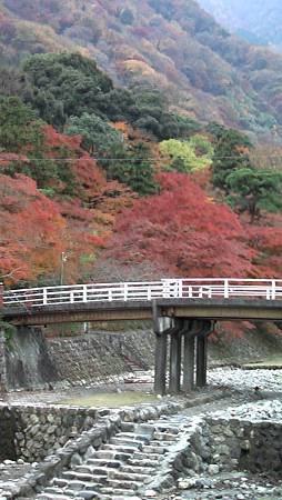 11/27紅葉狩り