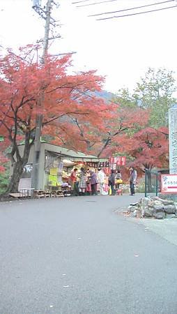 11/27紅葉狩り