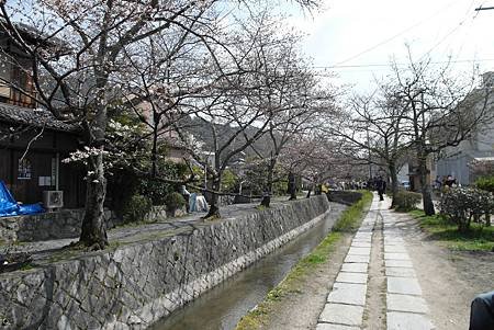 3/29京都日帰り