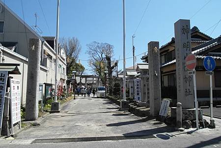 3/31岩倉五条川お花見