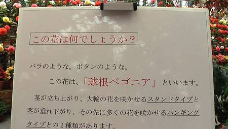 4/2なばなの里(3ー2)