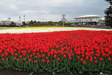 なばなの里(3-3)