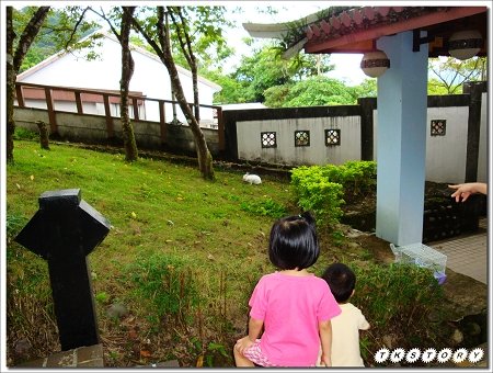 20100620-宜蘭坪林茶葉博物館~24.jpg