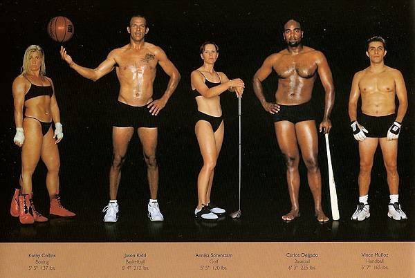 howard-schatz-and-beverly-ornstein-olympic-athlete-body-types-boxing-golf-baseball